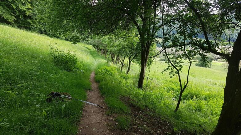 Trubachtal