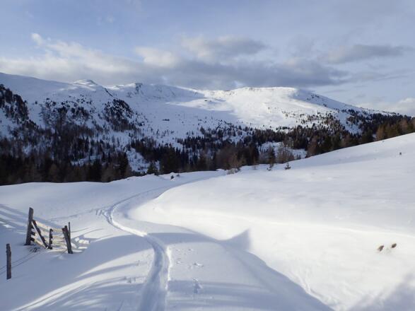 Zurück bei der Grössingalm