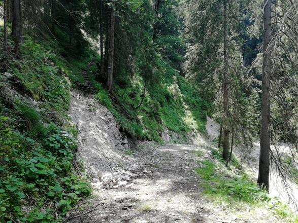 Hier beginnt der Wanderweg mit schwacher weiß/blauer Markierung bei 1.280 m