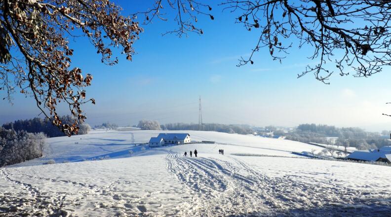 Rastplatzerl (~645 m) Gipfelwaldende, links durch eine Senke abkürzen.