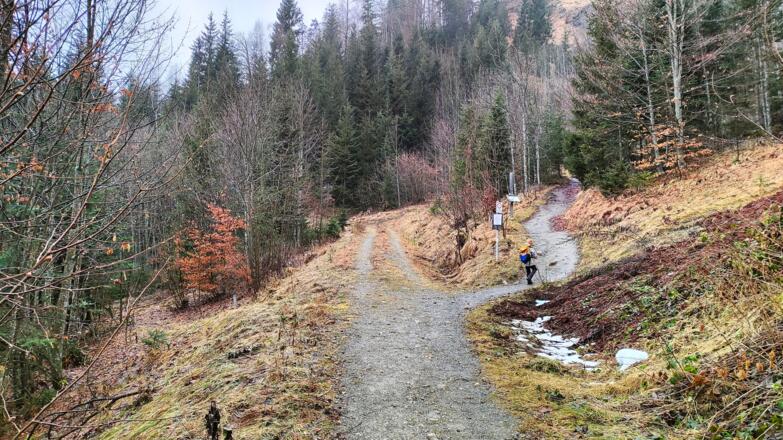 Kreuzung mit erstem Forstweg