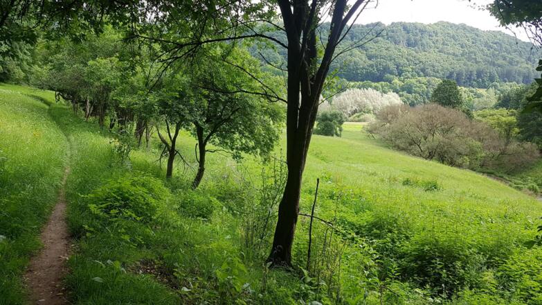 Trubachtal
