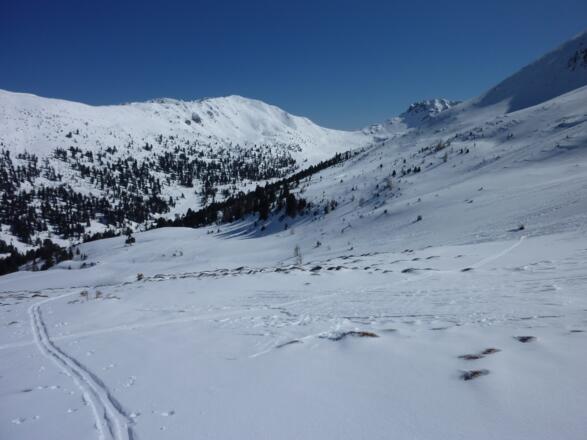 Sanfte Hänge führen in den Sattel zwischen Stubennock und Sauereggnock