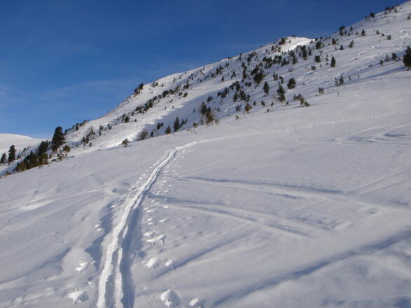 Aufstieg oberhalb der Rosaninalm