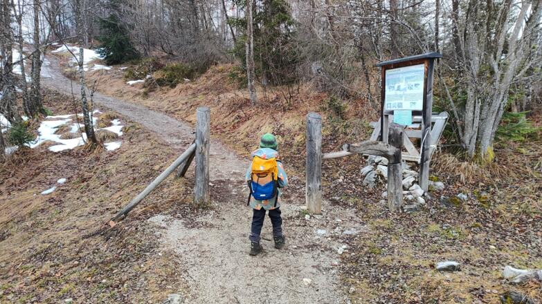 Das Ende des Almbodens - Steinalm