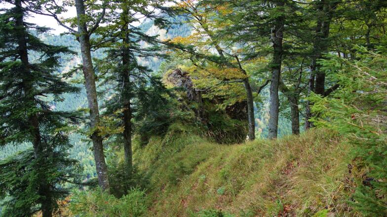 Das ausgesetzte Aussichtsplatzerl vom Speikogel 1214m.