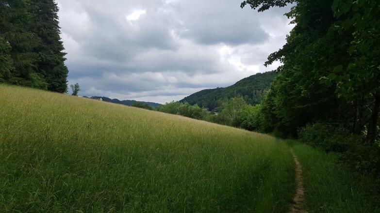 Trubachtal
