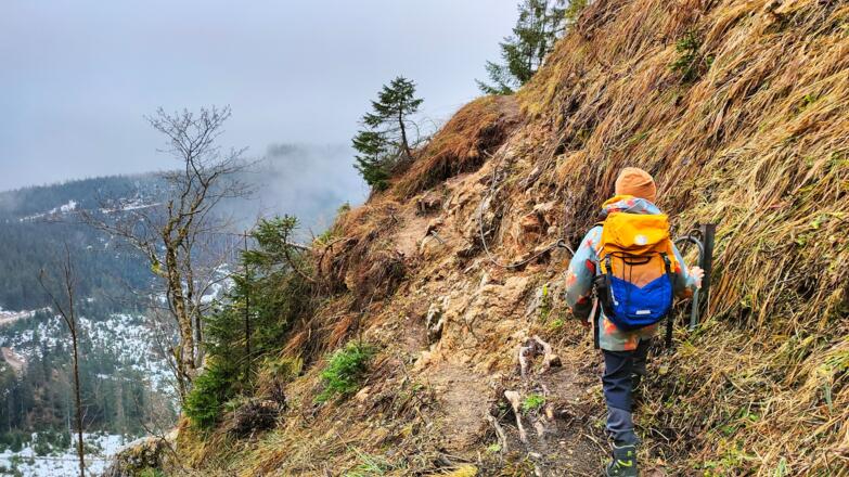 Versicherter Abschnitt am Verbindungssteig zum Steinkarlweg