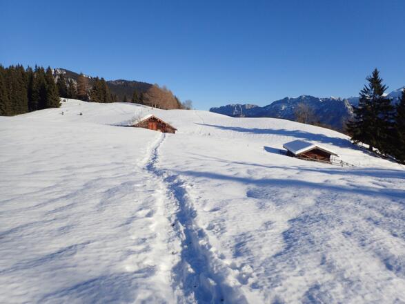 Dachs-Alm