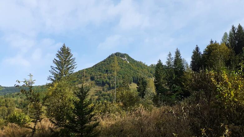 Blick zum Mittagsstein links, als im Norden der Forststraße.