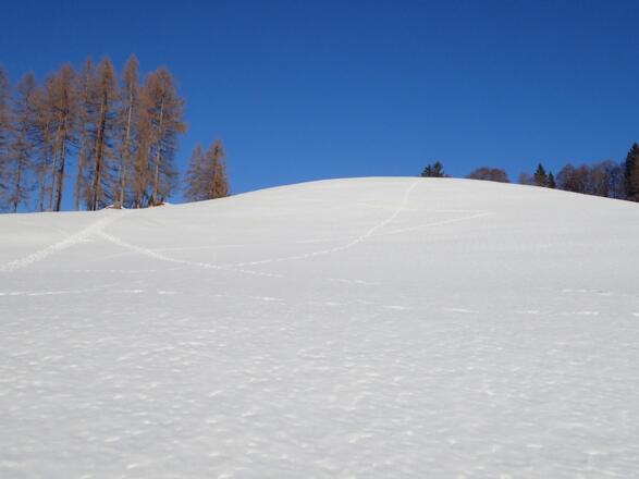 Südwesthang