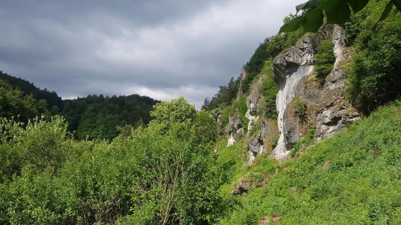 Trubachtal