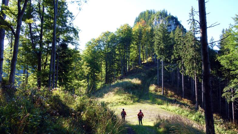Übergangssattel (~1050m) zur Hohen Mauer