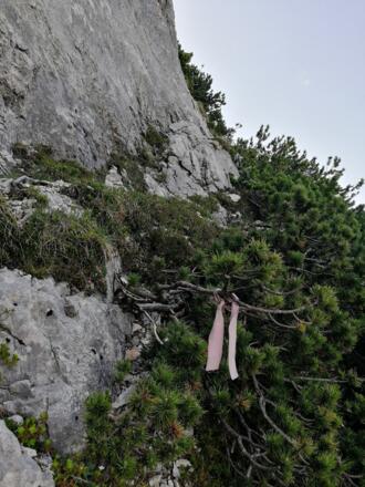 2. rosa Schleife; hier am Steinmandl vorbei nach rechts auf den Grat queren
