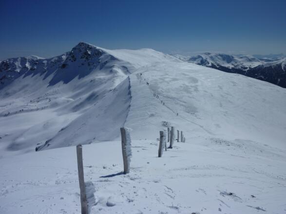 Schneeschuhwanderer auf dem Weg zur Friesenhalshöhe