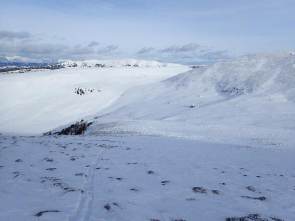 Auch hier hat der Wind ordentlich verblasen