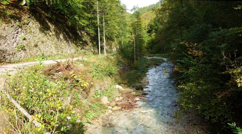 Stoßbach auf der rechten Seite