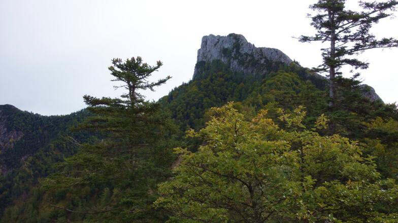 Blick nach Osten zur Falkenmauer
