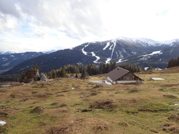 Zurück zur Stegmoosalm