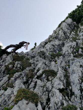 1. rosa Schleife, markiert die Kletterroute