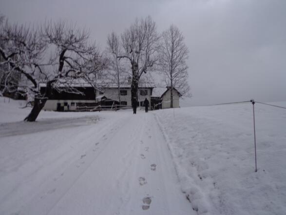 Winterwanderung zum Gschwandtnerbauer