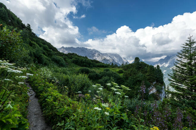 Oberes Reintal mit Pflanzenvielfalt
