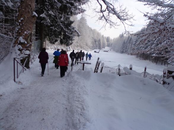 Weg zur Pfeifferalm