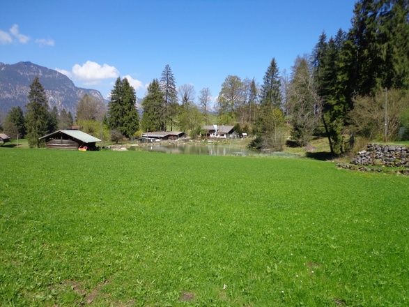 Kochelberg