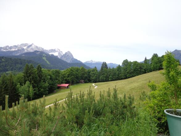 Aufstiegsweg zur Pfeifferalm
