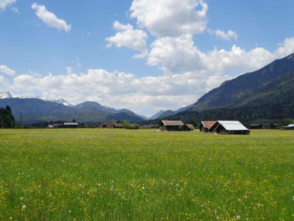 Hammersbacher Wiesen
