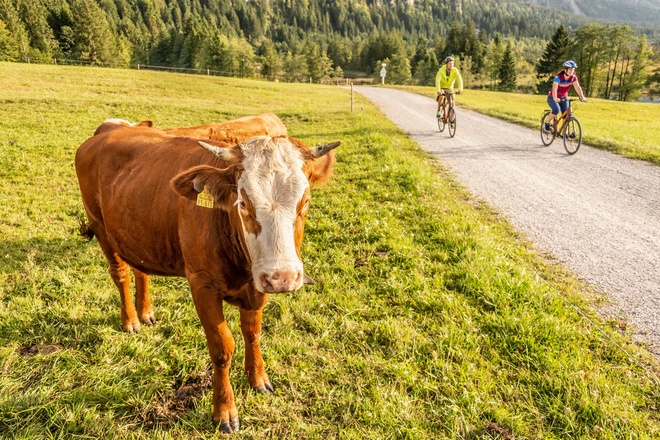 Die gut ausgebauten Radwege im Loisachtal
