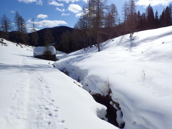 Talaus neben einem Graben