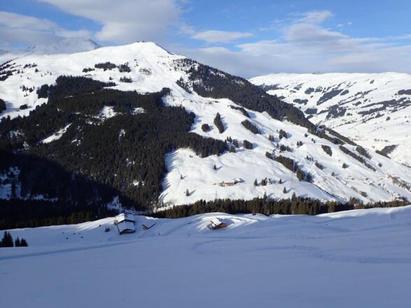 Stiegeralm und Zwölferkogel