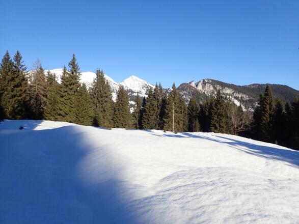 Sonntagshorn