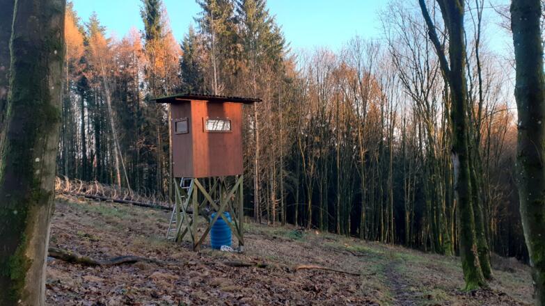 Abkürzung vom Rupertiweg ca. 485m bis 425 m, Jagastand im Kahlschlag.