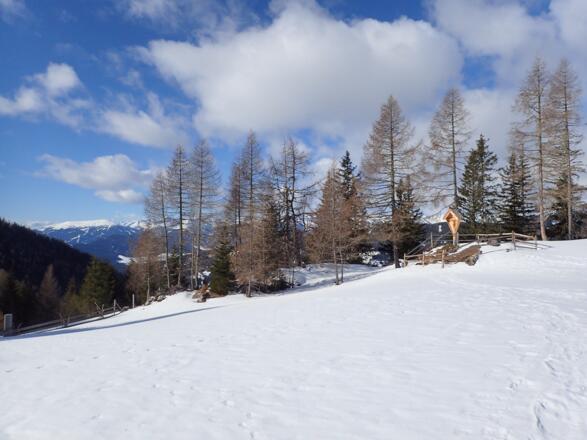 Bei der Lärchneralm