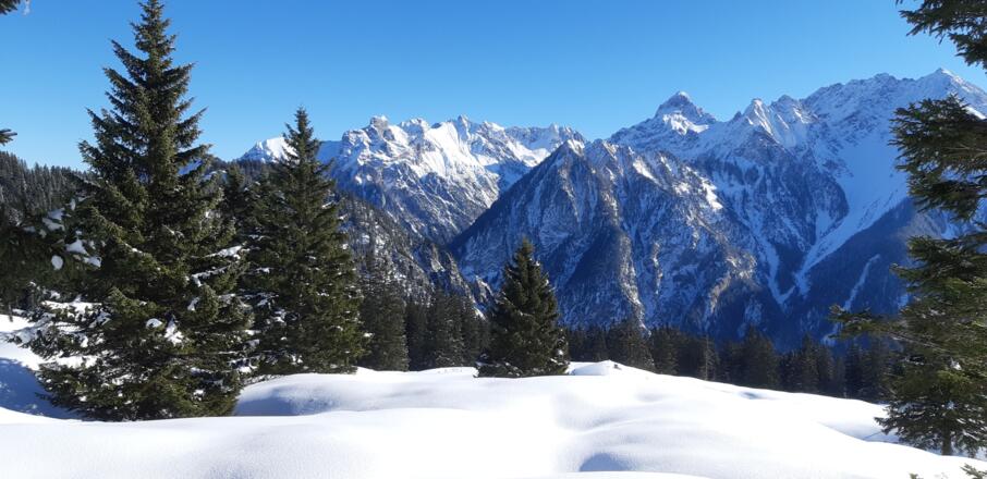 Winterwanderweg in herrlicher Winterlandschaft