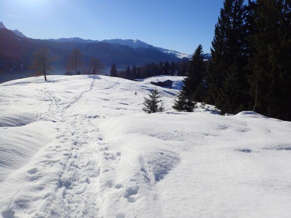 Blick Richtung Steinplatte