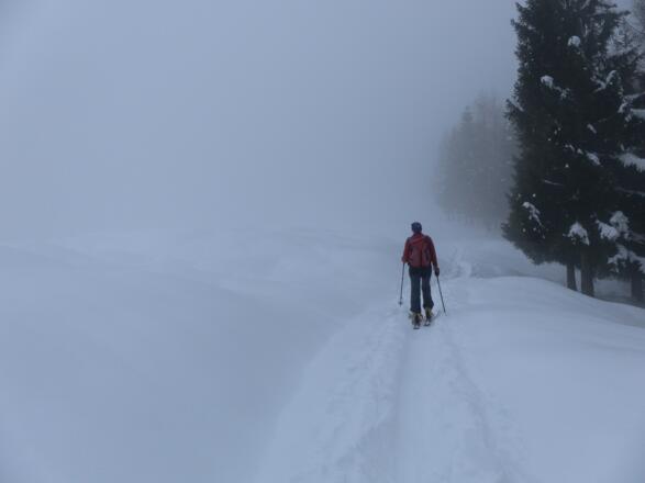 am Westrand der Moosgassneralm - Schlechtwettertour!