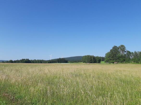 Blick zu den Windrädern von Spörbichl und der Viehberg