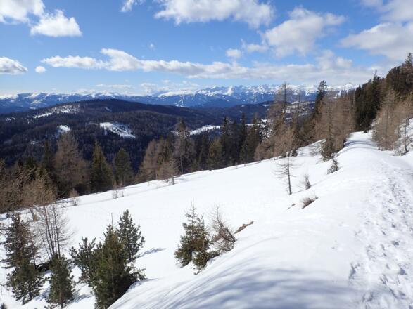 Unterhalb der Senke Satteleben
