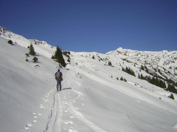 Osthänge zum Henlabjoch