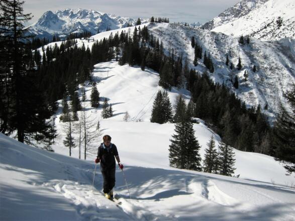 Hochkönig hinter dem Jochriedel