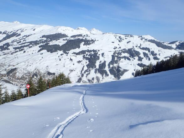 Unverspurte Piste - Anfang April nach einem Neuschneefall