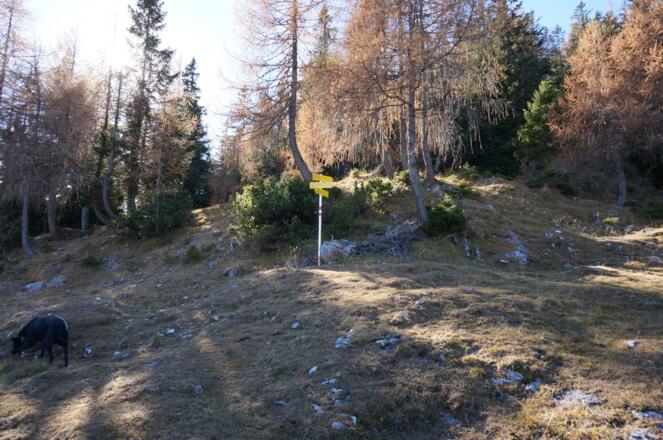 Wegweiser bei der Jöchlalm