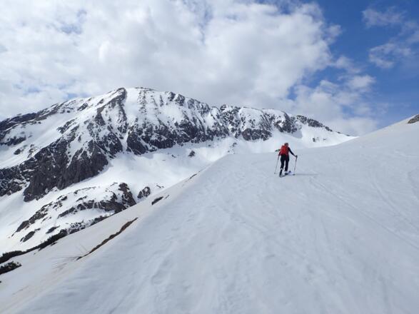 Steinfeldspitze