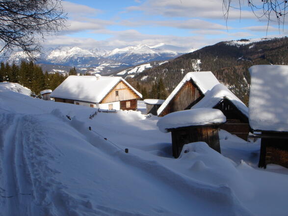 Obere Reifensteineralm