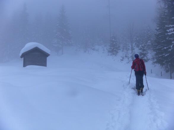 oberes Ende der Moosgassneralm