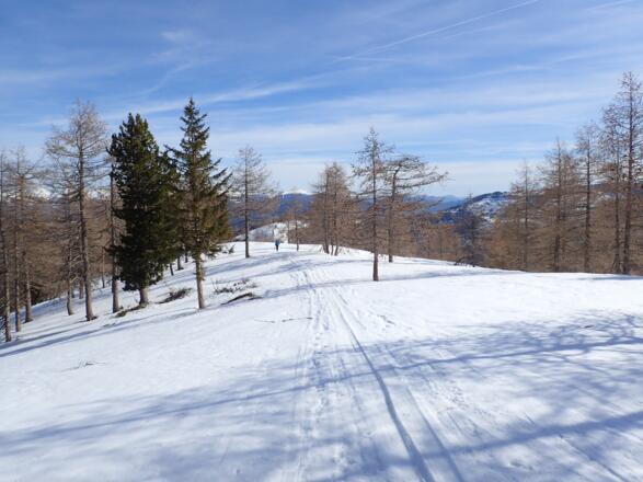 Am flachen Rücken zum Hühnerleitennock