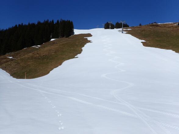 Traumfirn bis zur Ellmaualm